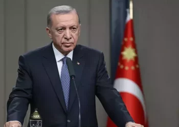 أردوغان يدعم لاعبا تركيا أمام اتحاد كرة القدم الأوروبي