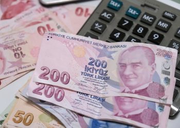 كاتب اقتصادي: الليرة التركية فقدت قيمتها