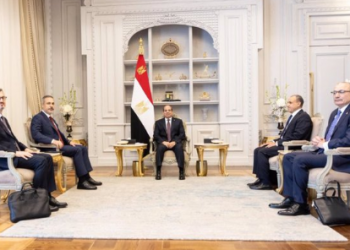 وزير الخارجية التركي يلتقي بالرئيس المصري السيسي