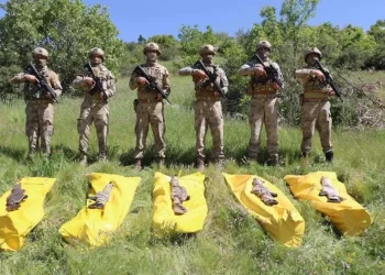 تركيا تعلن تحييد عنصرين شمال العراق