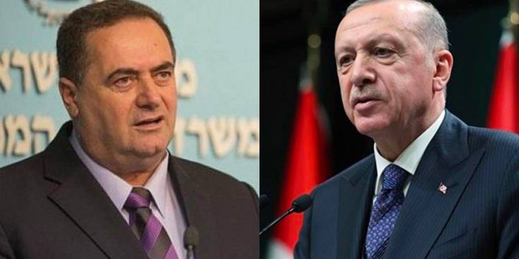 وزير الخارجية الإسرائيلي يهاجم أردوغان