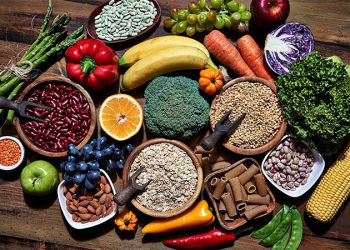 تركيا تترقب انطلاق مهرجان أنقرة النباتي