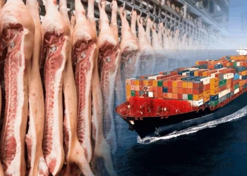 تخفيض الجمارك على لحوم الخنزير في تركيا