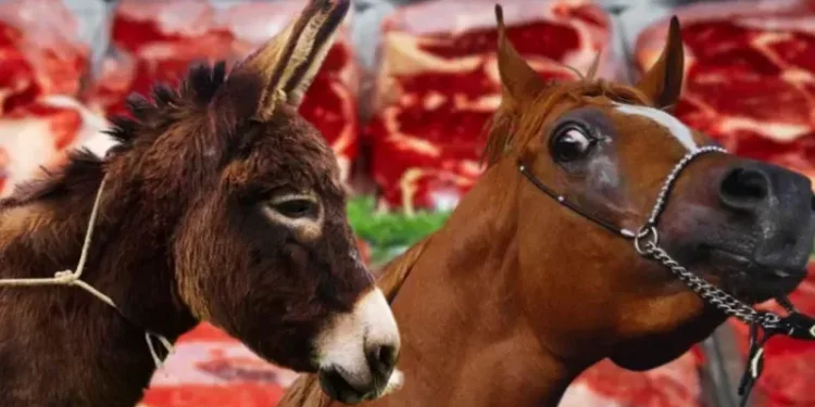 الكشف عن أكثر الولايات التركية أكلا للحم الحمير!