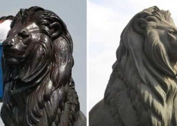 مصر تنفي مزاعم طلاء تماثيل أسود قصر النيل باللون الأسود