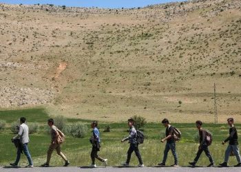 برلماني: 300 مهاجرًا أفغانيًا يصلون تركيا يوميًا!