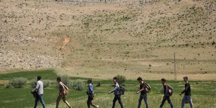 برلماني: 300 مهاجرًا أفغانيًا يصلون تركيا يوميًا!