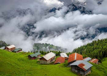 أكثر المدن التركية التي يعاني رجالها من قصر القامة