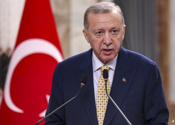 أردوغان يعلق على أول خطاب للأمين العام الجديد لحزب الله