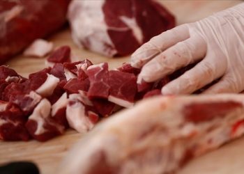 زيادة 60 ليرة بأسعار لحوم الضأن في تركيا