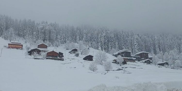 تركيا.. ارتفاع الثلوج يبلغ مترًا بهذه المدينة