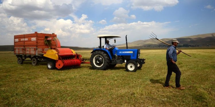 تضخم المنتجات الزراعية في تركيا يسجل مستوى قياسيًا