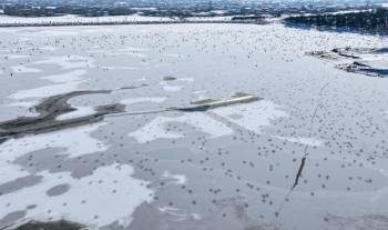 تجمد بحيرة سيهكا في ولاية وان التركية