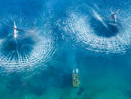 تركيا تحتل المرتبة الأولى في تصويت ”صورة العام“ لحلف الناتو