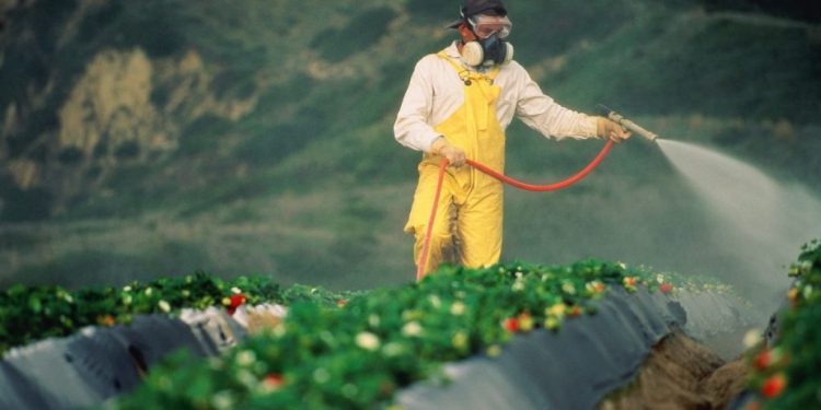 تركيا ثاني أكثر دولة صادراتها الزراعية إلى أوروبا ملوثة بالمبيدات
