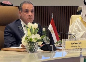 وزير الخارجية المصري يتوجه إلى السودان