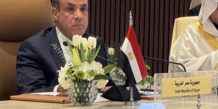 وزير الخارجية المصري يتوجه إلى السودان