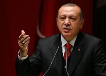 أردوغان: سورية عبارة عن أنقاض