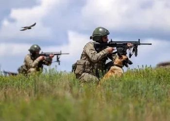 تركيا تعلن تحييد 5 إرهابيين في سورية والعراق