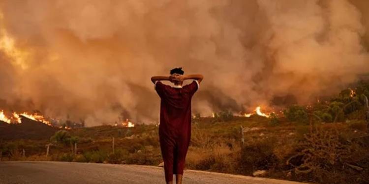 2024 العام الأكثر سخونة في التاريخ!