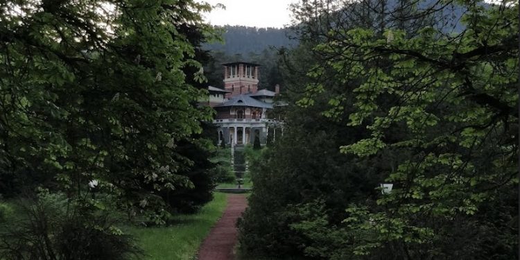 لا أحد يحزن