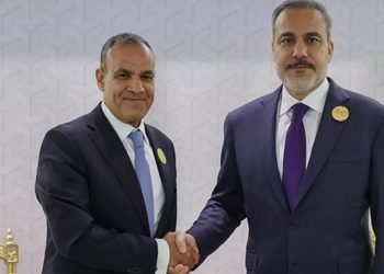 وزير الخارجية المصري يزور تركيا الثلاثاء