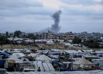 داود أوغلو يقترح ضم غزة إلى تركيا