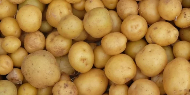 تونس تُعيد مئات الأطنان من البطاطس إلى تركيا