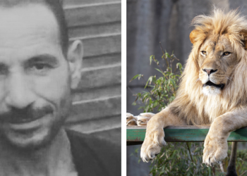 مصر.. حارس أسود يفقد حياته بشكل مأساوي في حديقة حيوان