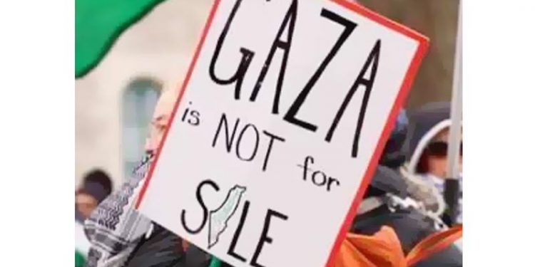 خطة القاهرة بشأن غزة جاهزة لقمة الرياض