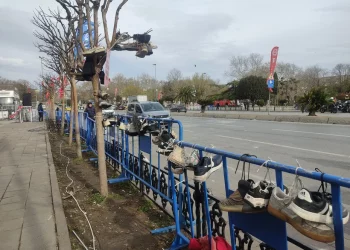 السر وراء شجرة الأحذية في إسطنبول!