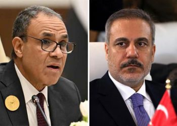 وزيرا خارجية مصر وتركيا يبحثان جهود استعادة وقف النار في غزة