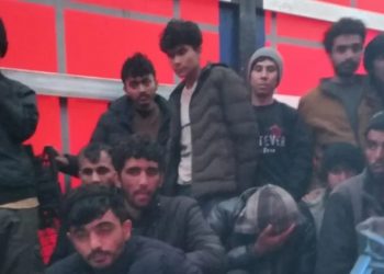 تركيا.. ضبط 46 مهاجراً غير نظامي داخل شاحنة