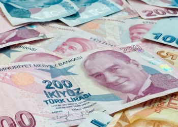 اقتصادي ألماني: خفض الفائدة لن ينقذ الليرة التركية