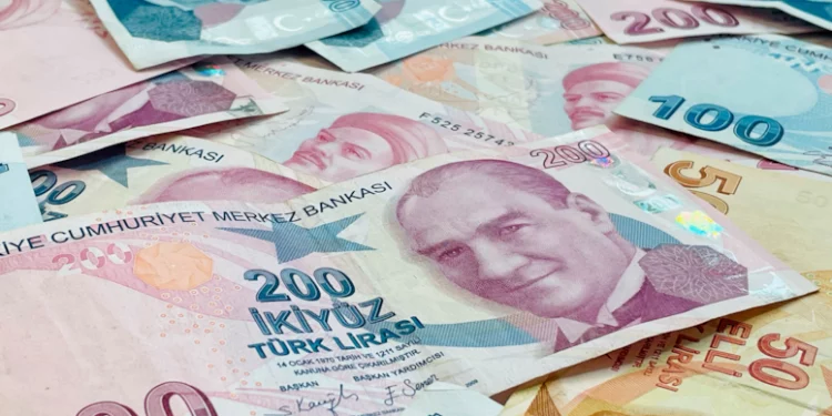 اقتصادي ألماني: خفض الفائدة لن ينقذ الليرة التركية