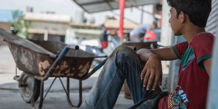 كم يبلغ عدد الأطفال العاملين في تركيا؟