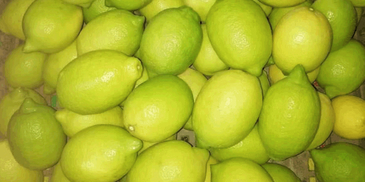 تركيا تعلق تصدير الليمون