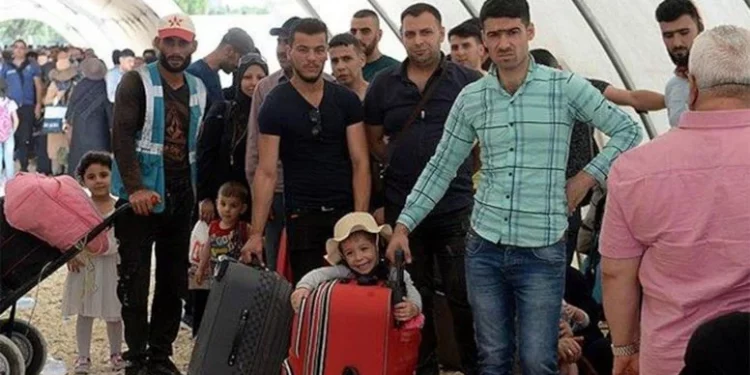 كم يبلغ عدد السوريين العائدين إلى بلادهم بعد سقوط الأسد؟