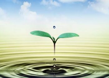 شَظَفُ الطَّبْع