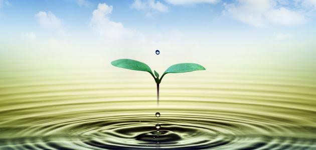 شَظَفُ الطَّبْع