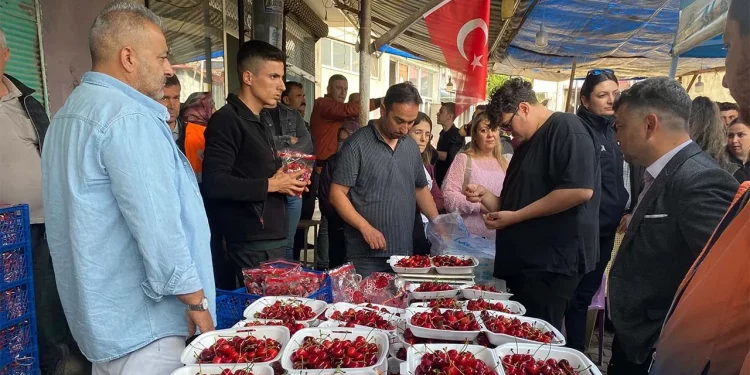 سباق الكرز في تركيا: من يأكل أكثر يفوز بالذهب!