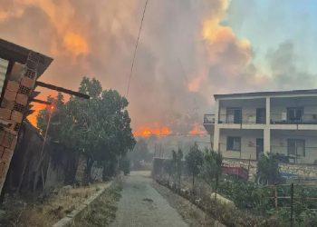 تركيا.. نقل 50 ألف شخص لمناطق آمنة بسبب حرائق الغابات