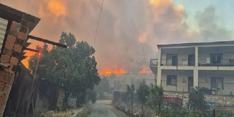 تركيا.. نقل 50 ألف شخص لمناطق آمنة بسبب حرائق الغابات