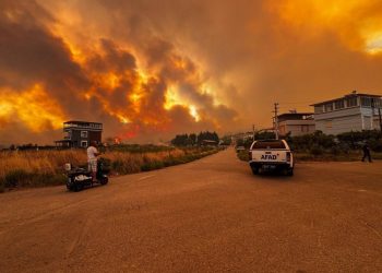 حرائق كبيرة في غابات “إزمير” التركية