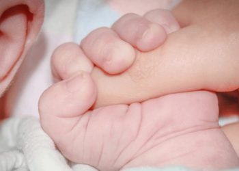 غازي عنتاب توفر “التلقيح الاصطناعي” مجانا للأسر الفقيرة