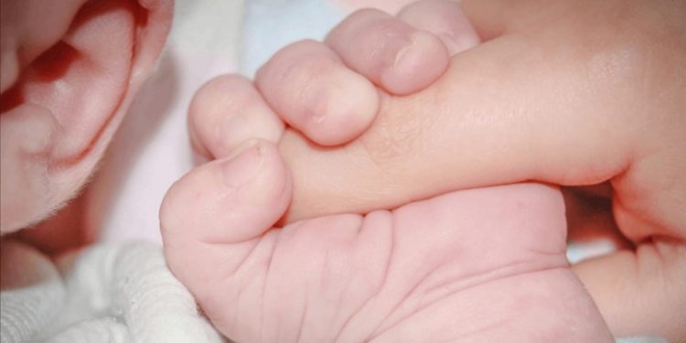 غازي عنتاب توفر “التلقيح الاصطناعي” مجانا للأسر الفقيرة