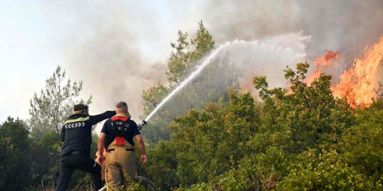 21 معتقلاً بسبب حرائق الغابات في بورصة