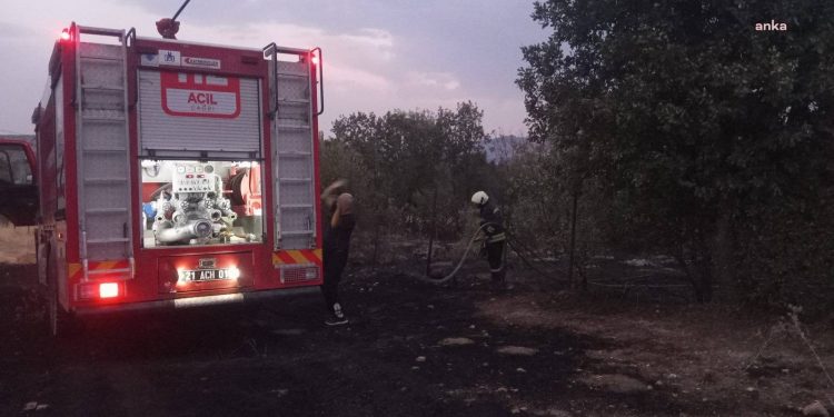 تضرر 35 هكتارًا جراء حريق غابات في ديار بكر