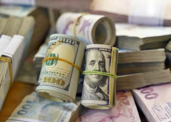 “جولدمان ساكس” ستوقع ارتفاع الدولار في تركيا