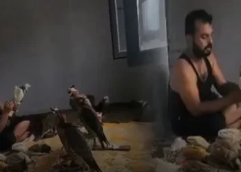 تركيا.. القبض على زعيم “عصابة صيد الطيور” للأثرياء العرب